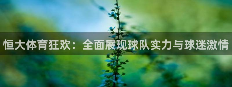恒大体育狂欢：全面展现球队实力与球迷激情