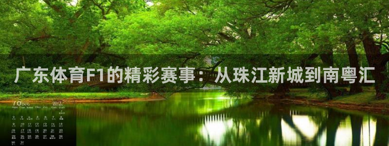 广东体育F1的精彩赛事：从珠江新城到南粤汇