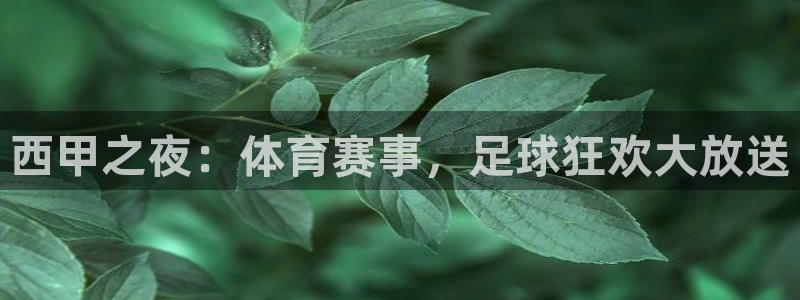 西甲之夜：体育赛事，足球狂欢大放送