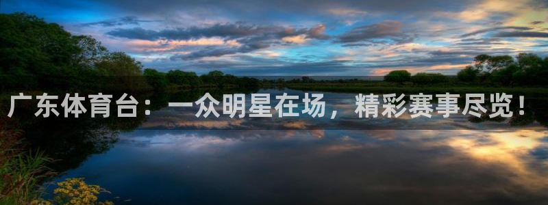 广东体育台：一众明星在场，精彩赛事尽览！