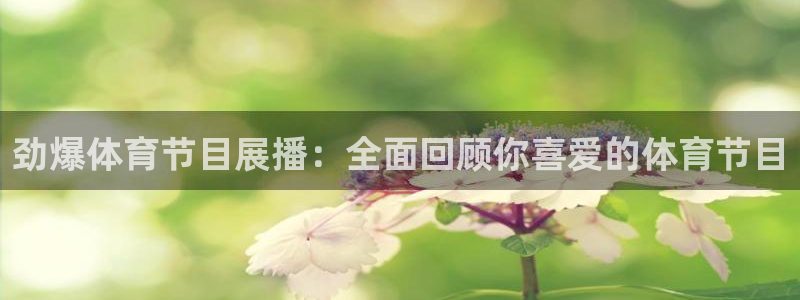 劲爆体育节目展播：全面回顾你喜爱的体育节目